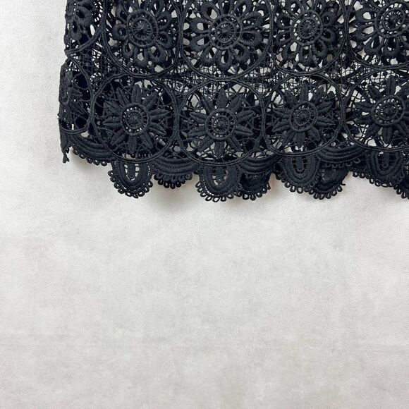 Banana Republic Shear Black Lace Top - Picture 8 of 8